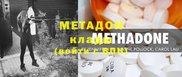 прущие грибы Дмитров